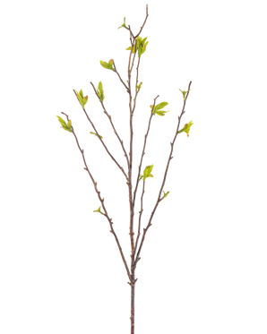 Die Kunstblume Winterzoet 81 cm grün ist ein künstlicher Zweig mit dünnen braunen Stielen und kleinen grünen Blättern auf weißem Hintergrund.