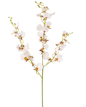 Die künstliche Blumenorchidee 98 cm creme ist ein einzelner künstlicher cremefarbener Orchideenstiel mit mehreren zarten Blüten und mehreren Knospen, mit gelben und violetten Zentren, isoliert auf einem schlichten weißen Hintergrund.