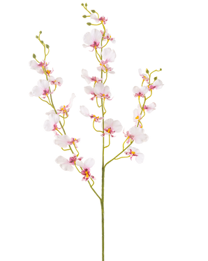 Die künstliche Blumenorchidee 98 cm in Rouge hat einen einzigen langen Stiel mit mehreren zarten hellrosa Orchideenblüten und -knospen, dünnen grünen Zweigen und kleinen ovalen Blättern, alles vor einem schlichten weißen Hintergrund.