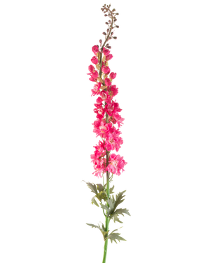 Eine einzelne künstliche Blume Rittersporn 137 cm in leuchtendem Rosa mit grünen Blättern, isoliert auf weißem Hintergrund.