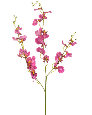 Die künstliche Blumenorchidee 98 cm in Fuchsia hat leuchtend rosa Orchideenblüten und -knospen an langen, schlanken grünen Stielen, die sich wunderschön vor einem weißen Hintergrund abheben.