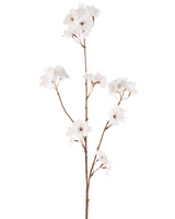 Die 85 cm große cremefarbene Kunstblume Kirschblüte hat einen schlanken braunen Stiel mit mehreren Zweigen, die Büschel zarter cremefarbener künstlicher Kirschblüten halten, alles vor einem schlichten weißen Hintergrund.