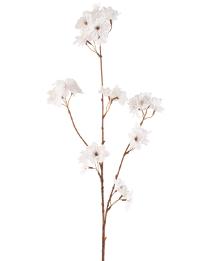 Die 85 cm große cremefarbene Kunstblume Kirschblüte hat einen schlanken braunen Stiel mit mehreren Zweigen, die Büschel zarter cremefarbener künstlicher Kirschblüten halten, alles vor einem schlichten weißen Hintergrund.