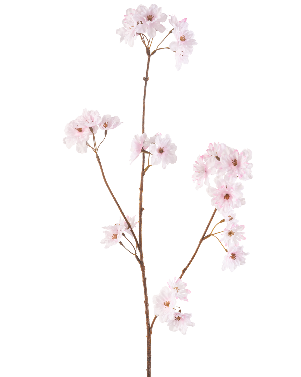 Die Kunstblume Kirschblüte 85 cm hellrosa hat einen einzelnen schlanken braunen Stiel mit Büscheln zarter hellrosa Kirschblüten, wunderschön isoliert auf einem weißen Hintergrund.