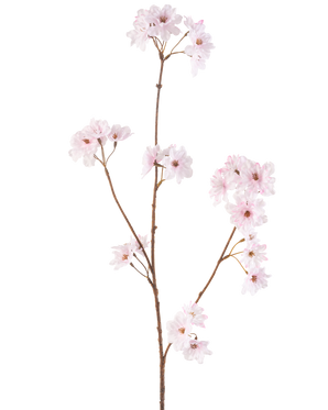 Die Kunstblume Kirschblüte 85 cm hellrosa hat einen einzelnen schlanken braunen Stiel mit Büscheln zarter hellrosa Kirschblüten, wunderschön isoliert auf einem weißen Hintergrund.