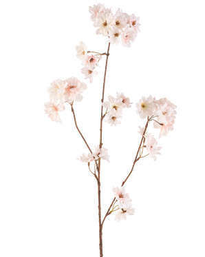 Die künstliche Blume Kirschblüte 85 cm in Rouge hat einen einzelnen braunen Stiel mit mehreren Zweigen, die jeweils mit zarten, blütenrosa Kirschblüten vor einem schlichten weißen Hintergrund verziert sind.