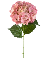 Die künstliche Blumenhortensie 75 cm rosa hat eine einzelne rosa Hortensienblüte mit feinen Blütenblättern und zwei großen grünen Blättern an einem langen grünen Stiel vor einem weißen Hintergrund.