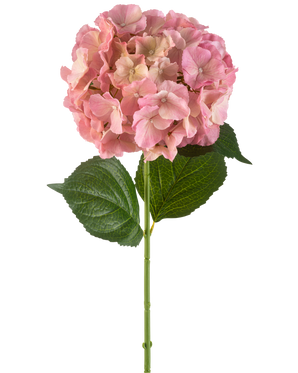 Die künstliche Blumenhortensie 75 cm rosa hat eine einzelne rosa Hortensienblüte mit feinen Blütenblättern und zwei großen grünen Blättern an einem langen grünen Stiel vor einem weißen Hintergrund.