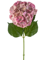 Die künstliche Blumenhortensie 75 cm lila hat eine einzelne lila Hortensienblüte mit grünen Blättern an einem langen Stiel vor einem weißen Hintergrund.