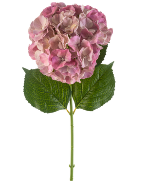 Die künstliche Blumenhortensie 75 cm lila hat eine einzelne lila Hortensienblüte mit grünen Blättern an einem langen Stiel vor einem weißen Hintergrund.