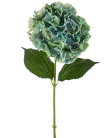 Die künstliche Blumenhortensie 75 cm in Pfauenblau besteht aus einer einzelnen blauen künstlichen Hortensie mit runden Blütenblättern und zwei großen grünen Blättern an einem langen Stiel, isoliert auf weißem Hintergrund.