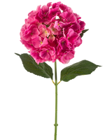 Ein einzelner Stiel einer künstlichen Hortensienblüte, 75 cm, leuchtend rosa, mit Büscheln leuchtend rosa Blütenblättern und einigen grünen Blättern, vor einem schlichten weißen Hintergrund.