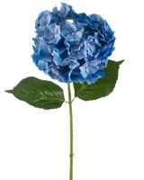 Die künstliche Blumenhortensie 75 cm blau hat einen einzelnen blauen Hortensienstiel mit einer runden Blütenbüschel und zwei großen grünen Blättern auf einem schlichten weißen Hintergrund.