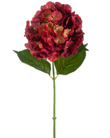 Die künstliche Blumenhortensie 75 cm Burgunder hat einen einzelnen künstlichen Hortensienstiel mit burgunderroten Blütenblättern und zwei großen grünen Blättern vor einem schlichten weißen Hintergrund.