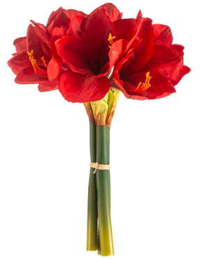Die Kunstblume Amaryllis Real Touch rot 36 cm hat leuchtend rote Amaryllisblüten mit grünen Stielen, die mit einem Gummiband zusammengebunden sind, vor einem schlichten weißen Hintergrund.
