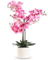 Die künstliche Orchidee Real Touch 68 cm rosa hat eine leuchtend rosa Orchidee mit mehreren Stielen und grünen Blättern in einem weißen Keramiktopf vor einem schlichten weißen Hintergrund.