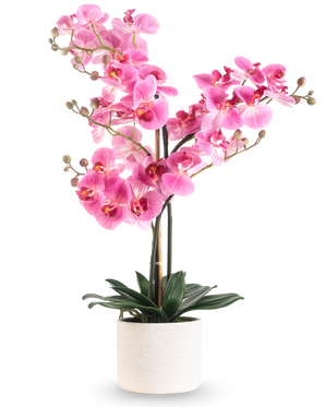 Die künstliche Orchidee Real Touch 68 cm rosa hat eine leuchtend rosa Orchidee mit mehreren Stielen und grünen Blättern in einem weißen Keramiktopf vor einem schlichten weißen Hintergrund.