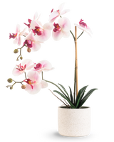 Die künstliche Orchidee Real Touch 60 cm rosa/weiß hat hellrosa und weiße Blüten mit dunkelgrünen Blättern, die von einem Bambusstab getragen werden, vor einem schlichten weißen Hintergrund.