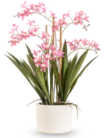 Die künstliche Pflanze Mini Cymbidium Real Touch 58 cm rosa hat lange grüne Blätter und mehrere rosa Blütenstiele, die in einem strukturierten weißen zylindrischen Topf vor einem schlichten weißen Hintergrund angeordnet sind.