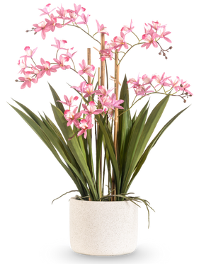 Die künstliche Pflanze Mini Cymbidium Real Touch 58 cm rosa hat lange grüne Blätter und mehrere rosa Blütenstiele, die in einem strukturierten weißen zylindrischen Topf vor einem schlichten weißen Hintergrund angeordnet sind.