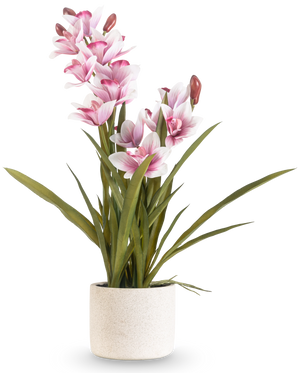 Das künstliche Cymbidium Real Touch 60 cm rosa hat lange grüne Blätter und mehrere rosa und weiße Orchideen an langen Stielen, die in einem schlichten, cremefarbenen, strukturierten Topf vor einem schlichten Hintergrund angeordnet sind.