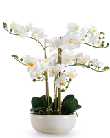 Eine künstliche Orchidee Real Touch 50 cm in Weiß mit mehreren Blüten und Knospen, elegant präsentiert in einem passenden weißen Topf.