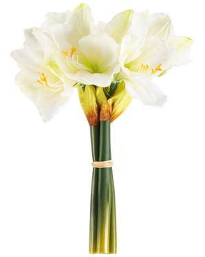 Die künstliche Blume Amaryllis Real Touch weiß 36 cm hat lebensechte weiße Amaryllisblüten mit hellgrüner Mitte und gelben Staubgefäßen, die mit einem beigen Band um grüne Stiele gebunden sind und sich perfekt vor einem schlichten weißen Hintergrund abheben.