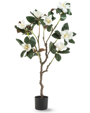 Die künstliche Yulania-Pflanze 120 cm mit Blüte ist ein künstlicher Magnolienbaum in einem Topf mit mehreren Zweigen, großen glänzend grünen Blättern und mehreren weißen Blüten vor einem schlichten weißen Hintergrund.