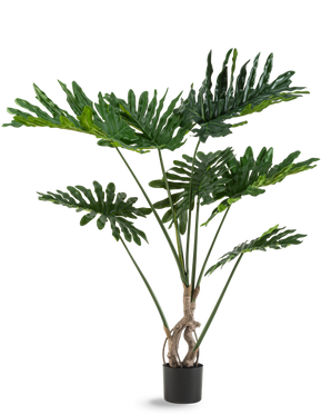 De Kunstplant Philodendron 120 cm heeft grote, glanzende, diep ingesneden groene bladeren en meerdere lange stelen met een gedraaide stam, tegen een effen witte achtergrond.