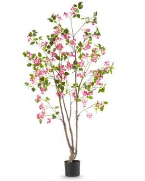 Die künstliche Bougainvillea 180 cm ist eine hohe Kunstpflanze mit mehreren braunen Stielen, grünen Blättern und leuchtend rosa Blüten in einem schwarzen Topf vor einem schlichten weißen Hintergrund.
