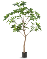 Die Kunstpflanze Schefflera 180 cm ist ein hoher Kunstbaum mit grünen Blättern und einem schlanken braunen Stamm in einem schwarzen Topf, dargestellt vor einem schlichten weißen Hintergrund.