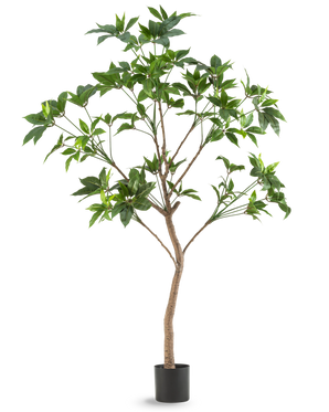 Die Kunstpflanze Schefflera 180 cm ist ein hoher Kunstbaum mit grünen Blättern und einem schlanken braunen Stamm in einem schwarzen Topf, dargestellt vor einem schlichten weißen Hintergrund.
