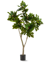 Die Kunstpflanze Ficus Carica Feigenbaum 180 cm ist eine Kunstpflanze in einem Topf mit breiten, glänzend grünen Blättern und kleinen braunen Früchten, die einem Feigenbaum ähneln, vor einem weißen Hintergrund.