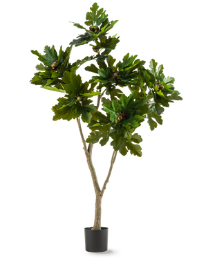 Die Kunstpflanze Ficus Carica Feigenbaum 180 cm ist eine Kunstpflanze in einem Topf mit breiten, glänzend grünen Blättern und kleinen braunen Früchten, die einem Feigenbaum ähneln, vor einem weißen Hintergrund.