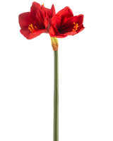 Die künstliche Blume Amaryllis Real Touch rot 66 cm hat einen einzelnen grünen Stiel mit zwei großen, leuchtend roten Blüten und gelben Staubgefäßen vor einem schlichten weißen Hintergrund.
