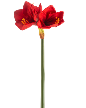 Die künstliche Blume Amaryllis Real Touch rot 66 cm hat einen einzelnen grünen Stiel mit zwei großen, leuchtend roten Blüten und gelben Staubgefäßen vor einem schlichten weißen Hintergrund.