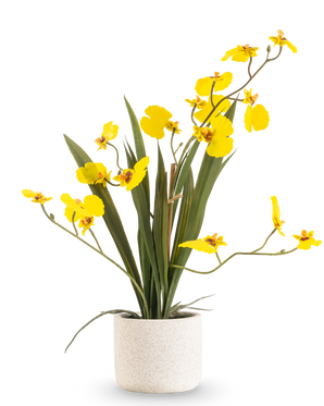 Das künstliche Oncidium Real Touch 48 cm gelb hat lange, schlanke Blätter und lange Stiele mit leuchtend gelben Orchideen in einem weißen Topf vor einem schlichten weißen Hintergrund.