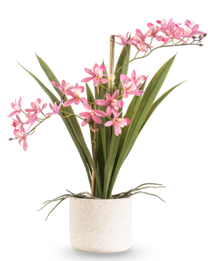 Die künstliche Pflanze Mini Cymbidium Real Touch 45 cm rosa hat lange grüne Blätter und mehrere rosa Blütenstiele, die in einem einfachen Topf mit weißer Textur und vor einem schlichten Hintergrund angeordnet sind.