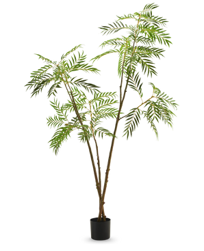 Die Kunstpflanze Mahonia 210 cm ist eine hohe Kunstpflanze in einem Topf mit schlanken braunen Stielen und langen, schmalen grünen Blättern, dargestellt vor einem schlichten weißen Hintergrund.