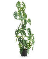 Die Kunstpflanze Monstera 90 cm grün ist eine hohe, grüne Kunstpflanze mit ovalen Blättern mit mehreren Löchern, die in einem Topf vor einem schlichten weißen Hintergrund präsentiert wird.