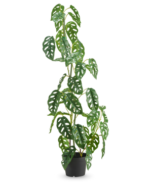 Die Kunstpflanze Monstera 90 cm grün ist eine hohe, grüne Kunstpflanze mit ovalen Blättern mit mehreren Löchern, die in einem Topf vor einem schlichten weißen Hintergrund präsentiert wird.