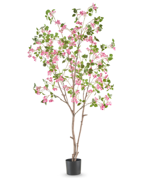 Die künstliche Bougainvillea 210 cm ist ein hoher Kunstbaum mit schlanken braunen Zweigen, grünen Blättern und leuchtend rosa Blütensträußen in einem schlichten schwarzen Topf vor weißem Hintergrund.