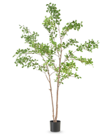 Die Kunstpflanze Terminalia Catappa 150 cm ist ein hoher Kunstbaum mit schlanken braunen Zweigen und grünen Blättern in einem schlichten schwarzen Topf vor einem schlichten weißen Hintergrund.