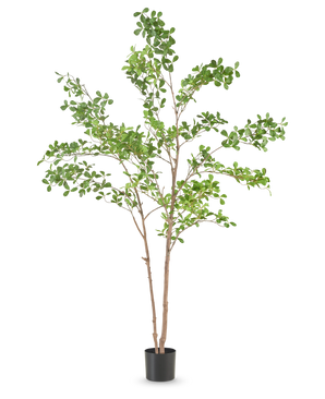 Die Kunstpflanze Terminalia Catappa 150 cm ist ein hoher Kunstbaum mit schlanken braunen Zweigen und grünen Blättern in einem schlichten schwarzen Topf vor einem schlichten weißen Hintergrund.