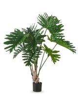 Die Kunstpflanze Philodendron 150 cm hat große, glänzende, tief gelappte grüne Blätter an langen Stielen vor einem schlichten weißen Hintergrund.