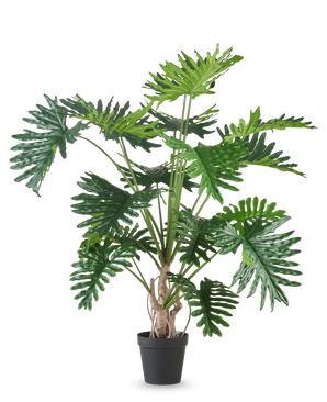 Die Kunstpflanze Philodendron 180 cm hat große, glänzende, tief gelappte grüne Blätter und ist vor einem schlichten weißen Hintergrund abgebildet.
