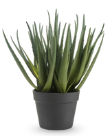 Die künstliche Aloe-Pflanze 46 cm hat lange, spitze grüne Blätter und wird in einem schlichten dunkelgrauen Topf vor einem schlichten weißen Hintergrund geliefert.