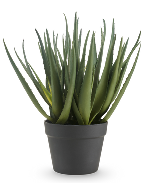 Die künstliche Aloe-Pflanze 46 cm hat lange, spitze grüne Blätter und wird in einem schlichten dunkelgrauen Topf vor einem schlichten weißen Hintergrund geliefert.