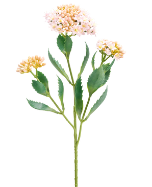 De Kunstbloem Kalanchoë 47 cm roze heeft een enkele groene stengel met drie trossen kleine, lichtroze en perzikkleurige bloemen en langwerpig gekarteld groen blad, geïsoleerd op een witte achtergrond.