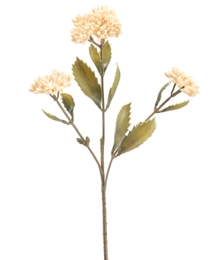 Die cremefarbene Kunstblume Kalanchoe 47 cm hat einen einzelnen künstlichen Stiel mit drei Büscheln kleiner, hellcremefarbener Blüten und grünen, gezackten Blättern vor einem schlichten weißen Hintergrund.